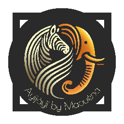 logo de Ayijàyĭ by Maouéna